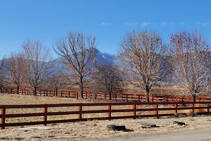 2019-1028_Minden-1