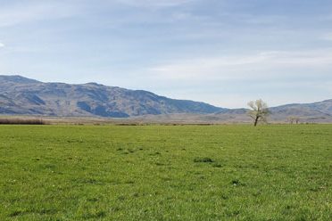 2020-0428_Buckeye-Farms_Article_v6