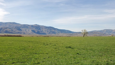 2020-0428_Buckeye-Farms_Article_v6