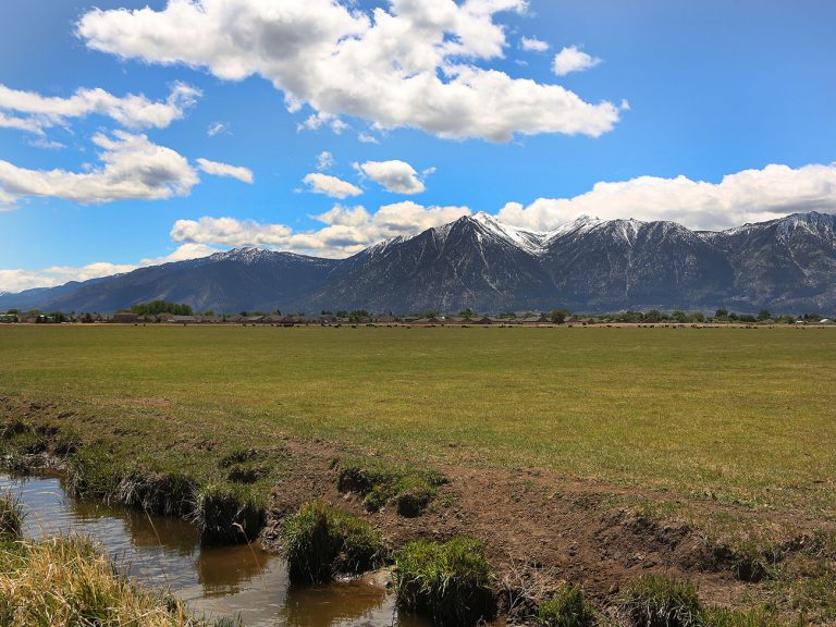 Our Vision Buckeye Farms