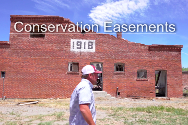 conservation-easements-thumbnail