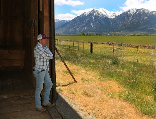 David Park and Mountains