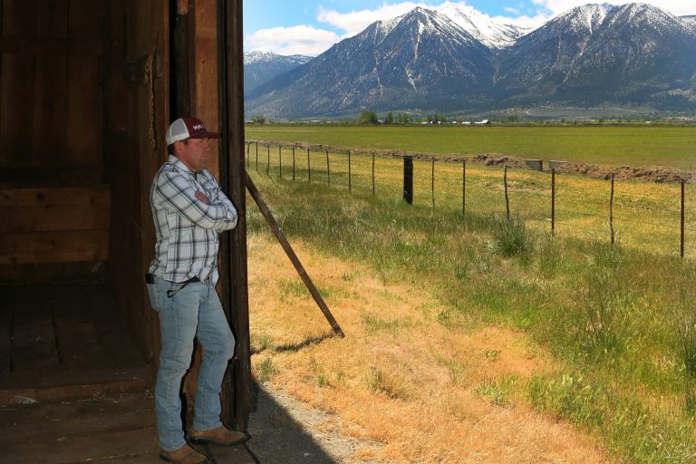David Park and Mountains