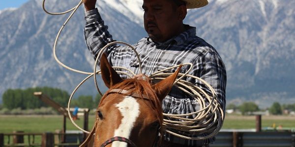 Cowboy heritage_Thumbnail Cowboy on a horse swinging a lasso