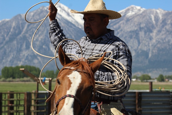 Cowboy heritage_Thumbnail Cowboy on a horse swinging a lasso